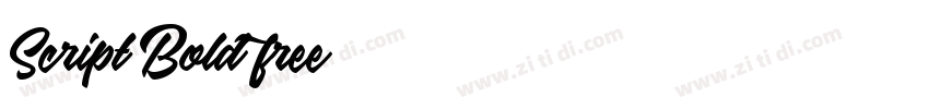 Script Bold free字体转换